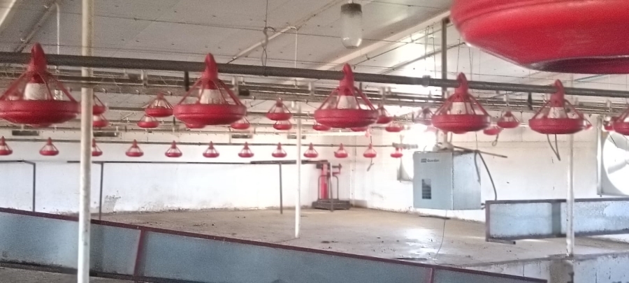 13 Bedroom Property for Sale in Bainsvlei Free State